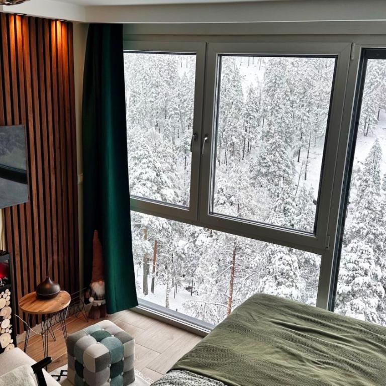 Studio Nordik - Studio Apartment - 1