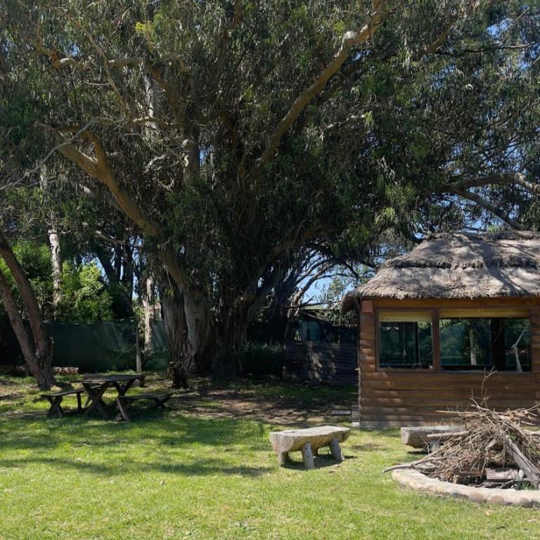 Complejo de Cabañas El Bowl - Tienda - 25