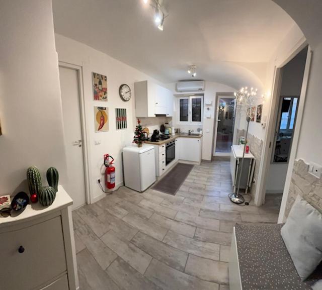 Monteverde Nest - One-Bedroom Apartment - 12