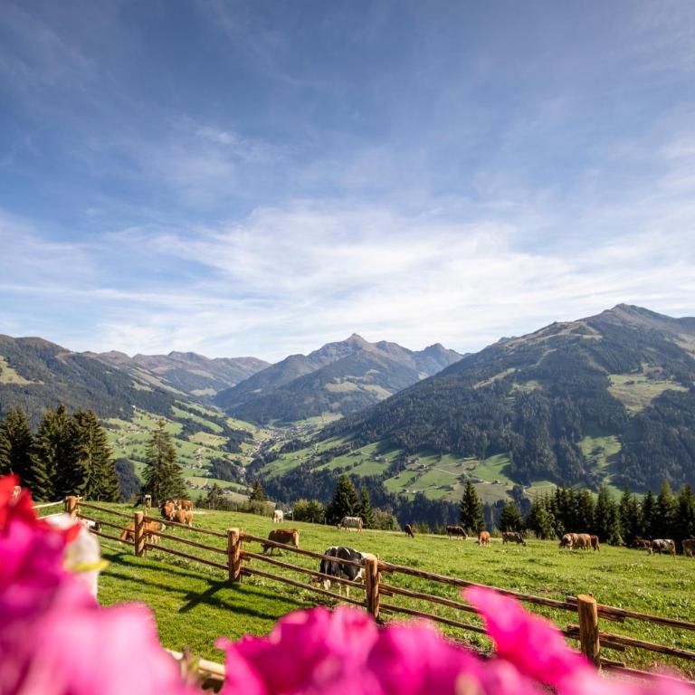 Ferienhütte Alpenherz - Haus mit 3 Schlafzimmern - 11