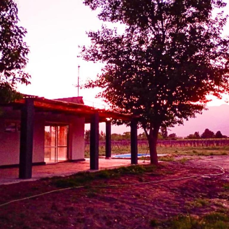 Casa de Campo Finca la Angelita 2 - Casa de 2 dormitorios - 41