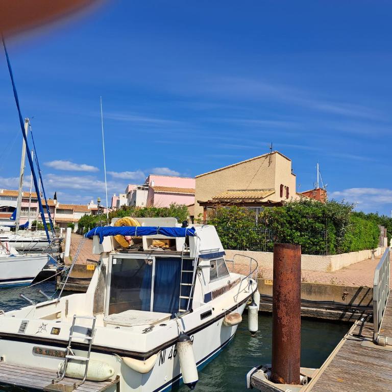 Villa sur l'ile des marinas avec piscine, parking et ponton privé - Villa con 2 Camere da Letto - 25