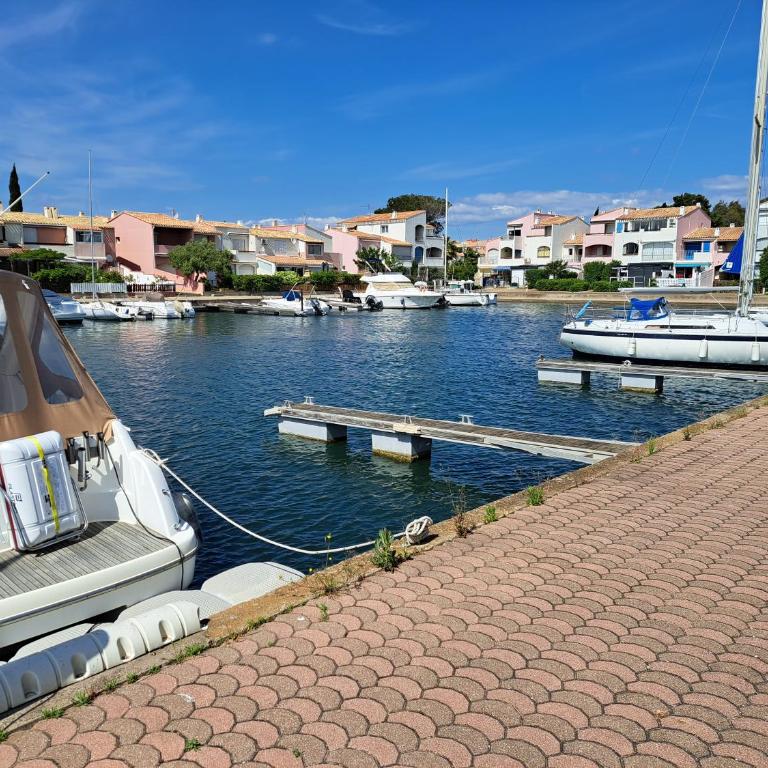 Villa sur l'ile des marinas avec piscine, parking et ponton privé - Villa con 2 Camere da Letto - 26