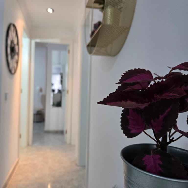 Discover the oasis of relaxation at Casa Fabio - Casa de 2 dormitorios - 5