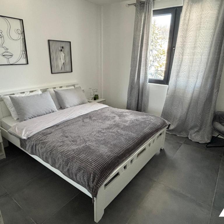 Apartman ZAM - Apartman sa 1 Spavaćom Sobom - 4