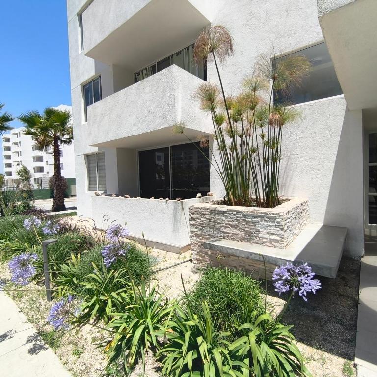 Oceana Suites Distrito Verde - Apartamento - 36