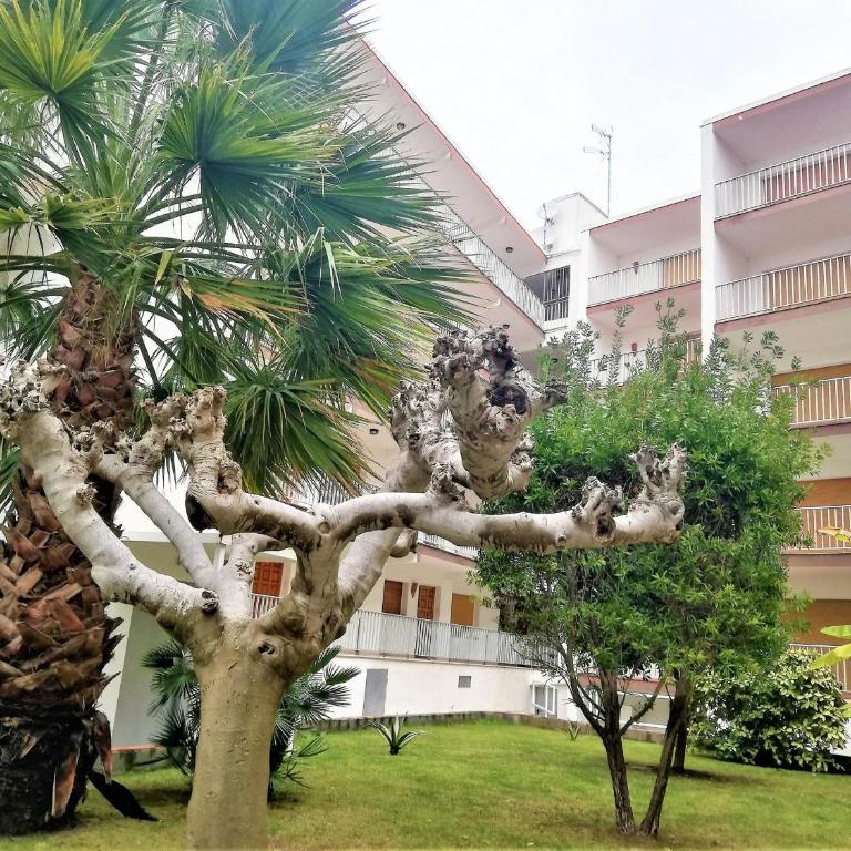 Apartamento en Segunda Línea de Playa con Terraza, WIFI y Parking en Santa Margarita - ES-258-120 - Apartment - 26