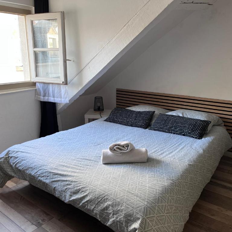 Studio cosy tout confort proche Cathédrale dans rue calme - Apartment mit 1 Schlafzimmer - 5