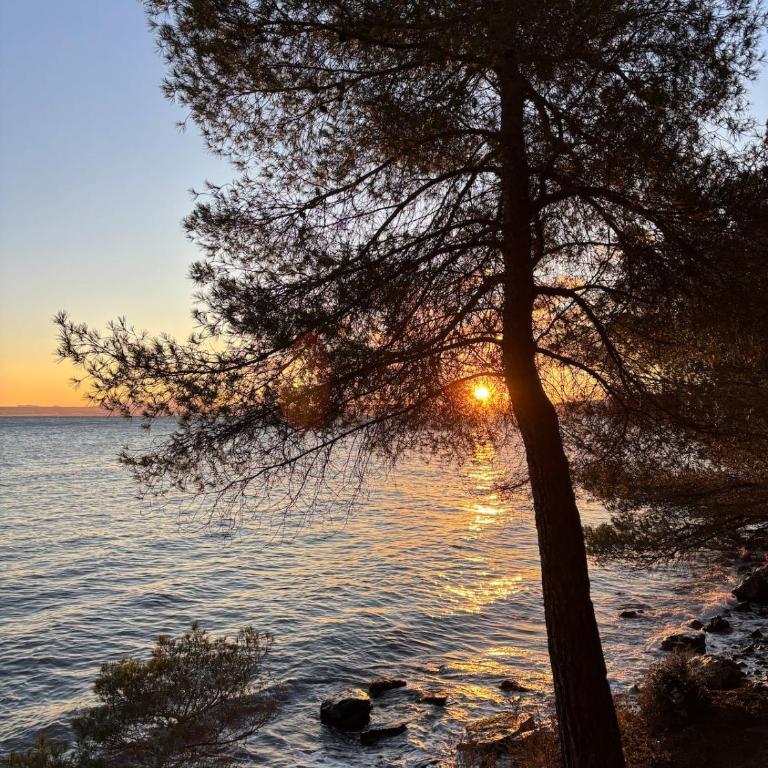 séjour verdoyant entre nature et parcs proches - Haus mit 2 Schlafzimmern - 22