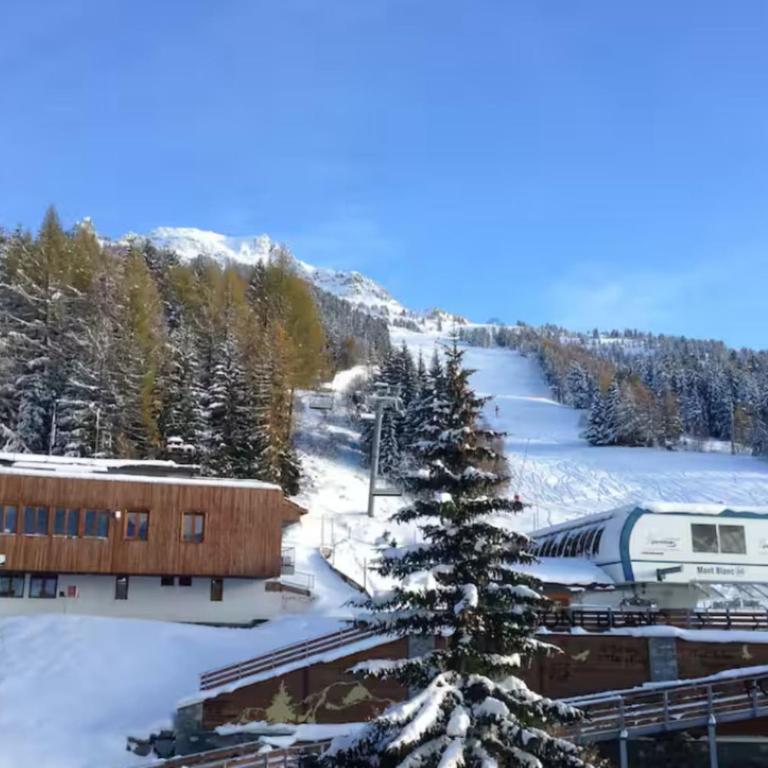 Spacious apartment at the foot of the slopes - Apartamento - 15