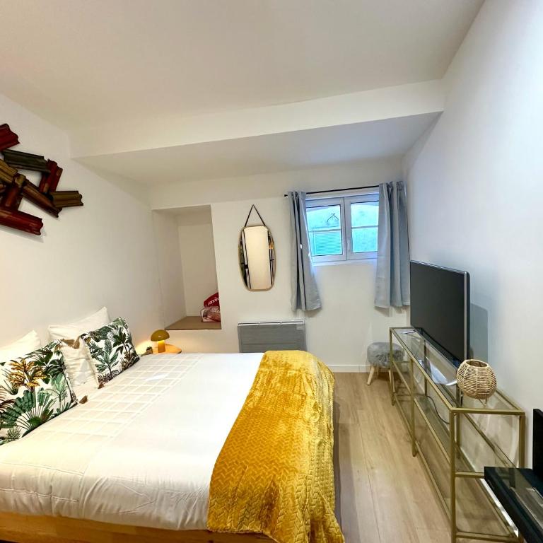 Charmant deux pièces en plein centre-ville de NARBONNE - One-Bedroom Apartment - 11