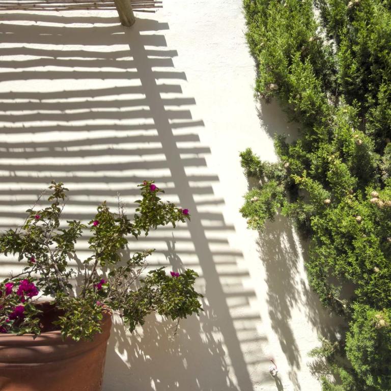 Casapueblo Rent Cachagua CP 18 - Vacation Home - 17