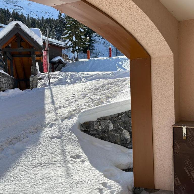 Bel appartement tout confort 4 personnes ski aux pieds - Apartamento de 1 dormitorio - 32
