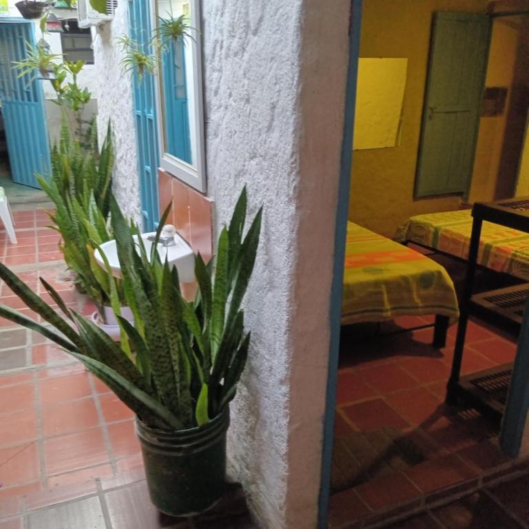 Hostal ROLLED - Habitación Doble - 2 camas dobles - 3