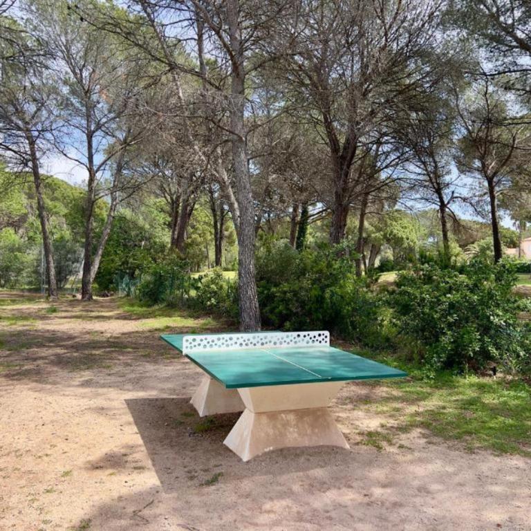 Le Panorama des Pins - Terrasse, Golf, Piscine - Studio 4 pers - Estudio con terraza - 17
