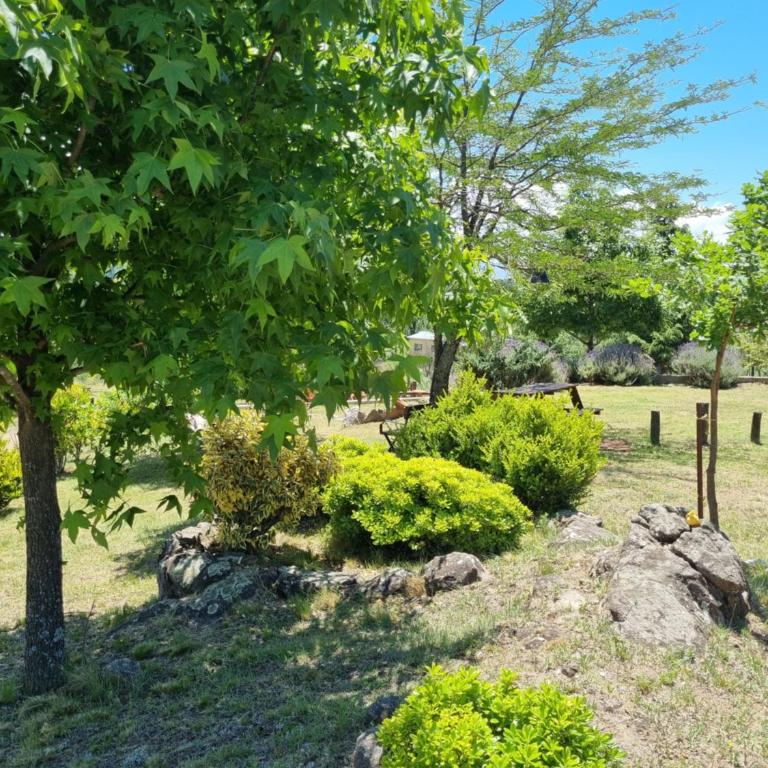 Complejo Terrazas al Champaqui - Casa de 2 dormitorios - 38