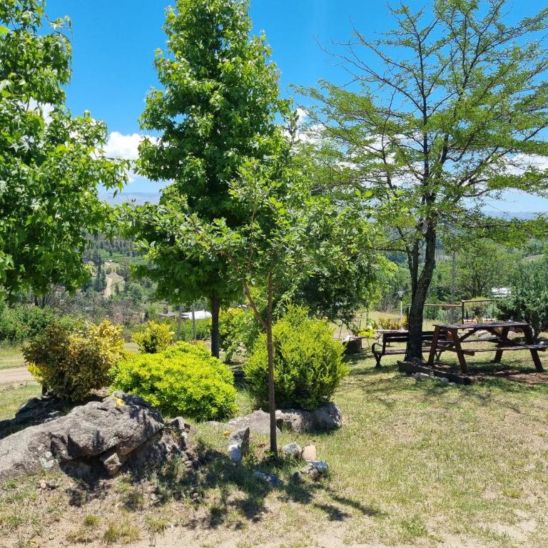 Complejo Terrazas al Champaqui - Casa de 2 dormitorios - 40