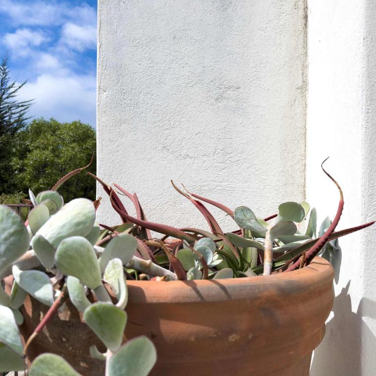 Casapueblo Rent Cachagua CP 32 - Vacation Home - 4