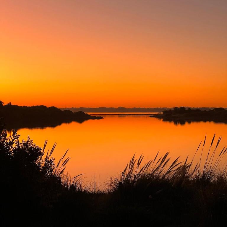 Dream house on Jose Ignacio Lagoon - Three-Bedroom Villa - 29