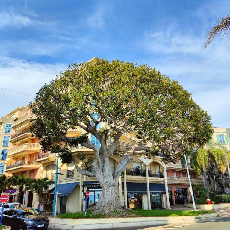 Le Coq St-Roch - Parking - AC - Swimming pool - Apartamento - 35