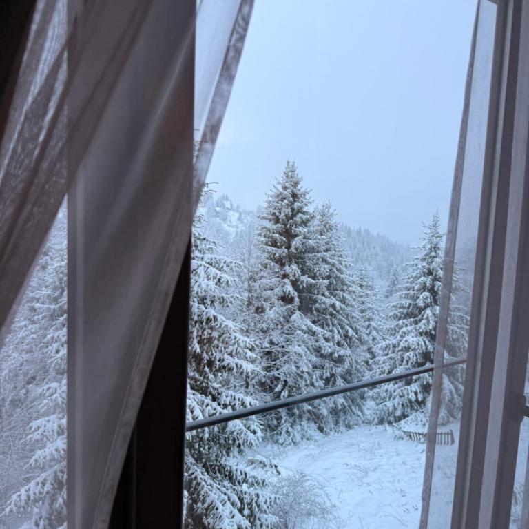 Glecer A07 - Apartman sa 1 Spavaćom Sobom - 19