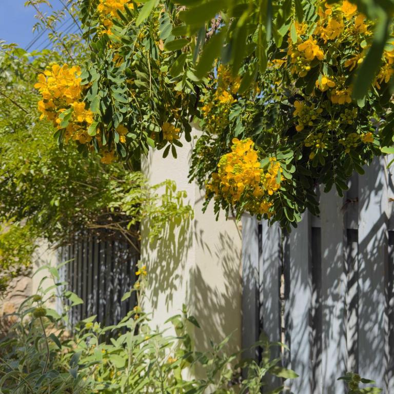 Casapueblo Rent Cachagua CP 34 - Vacation Home - 2