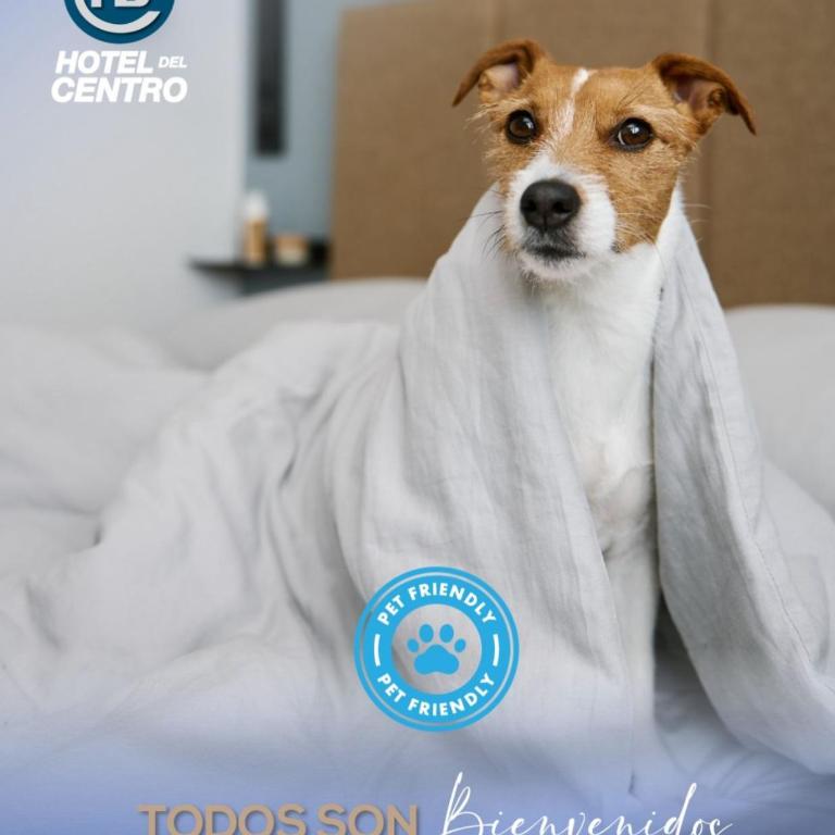 Hotel Del Centro - Habitación Doble - 2 camas - 4