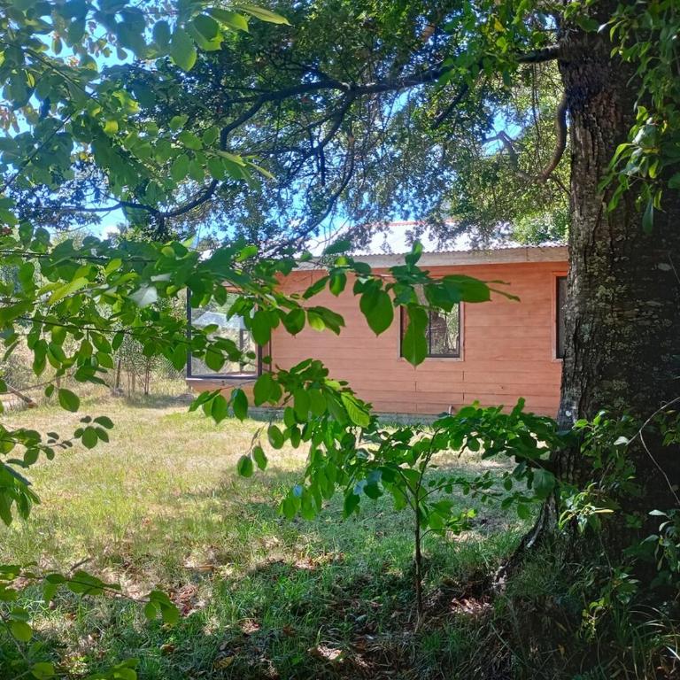 RukaPellaifa - Three-Bedroom Chalet - 16