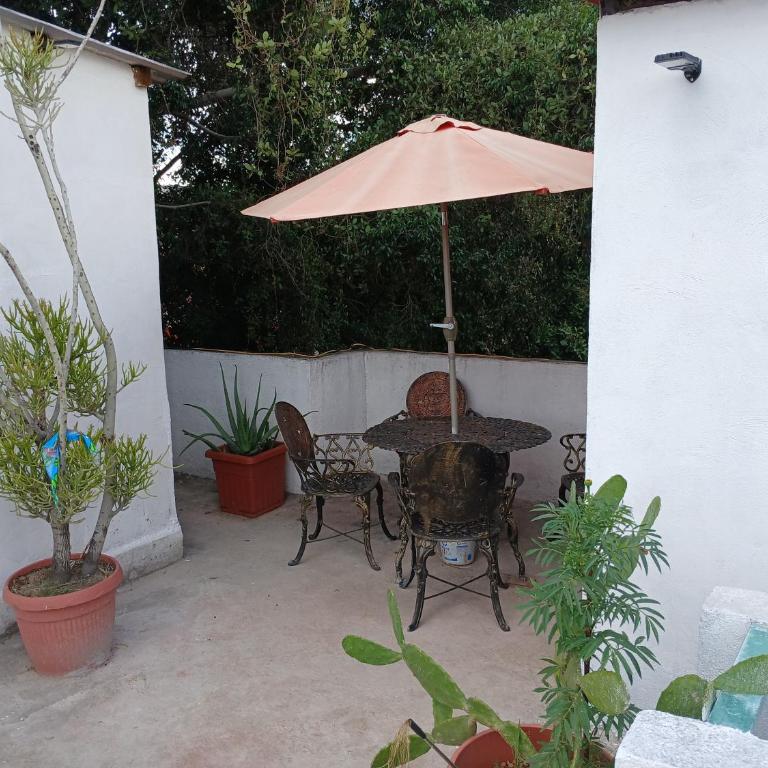 Habitación en barrio de Jalatlaco - Apartamento de 1 dormitorio - 43