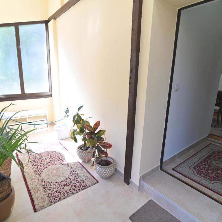 Botanical Hideout - Near City Center & Free Parking - Two-Bedroom Apartment - 59