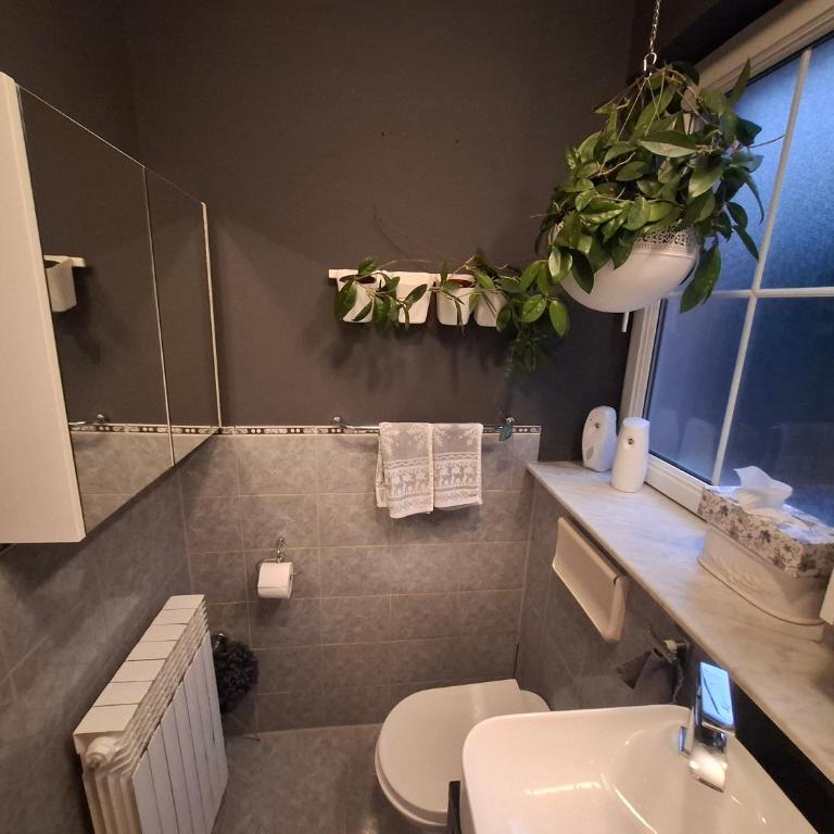 Cosy Apartment - Apartman sa 1 Spavaćom Sobom - 20