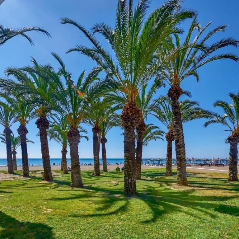SR Mediterraneo 1 BDR Playa de la Carihuela - Apartamento de 1 dormitorio - 31