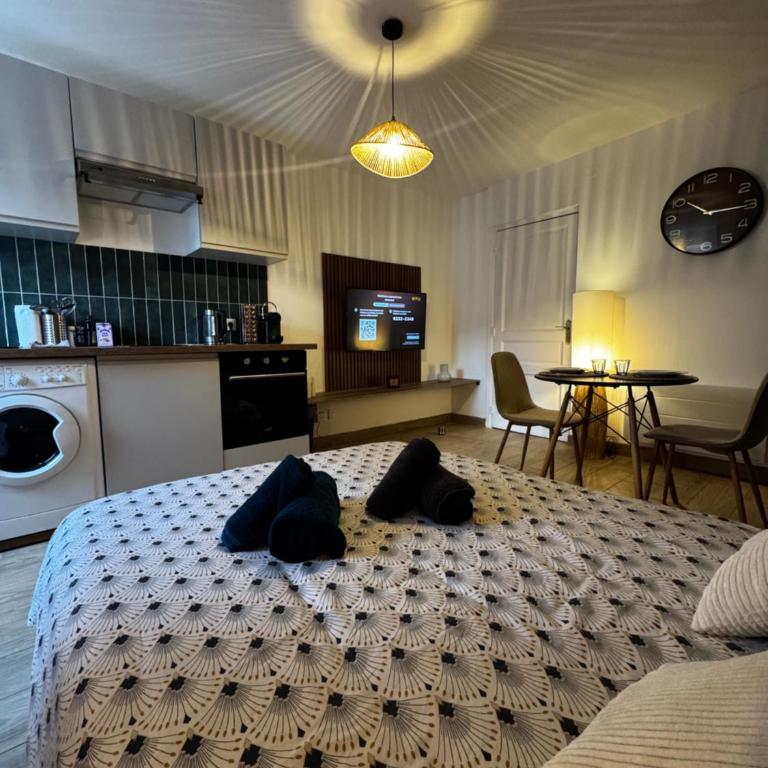 Charmant Appartement au Coeur de Bourges 25 - Appartement 1 Chambre - 2