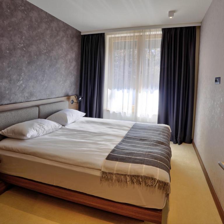 Tramontana Kopaonik Woodside 201&211, FREE Parking & SPA - Apartman sa 2 Spavaće Sobe - 8