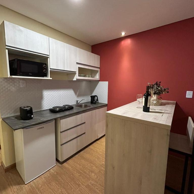 Aires del Toledano - One-Bedroom Apartment - 4