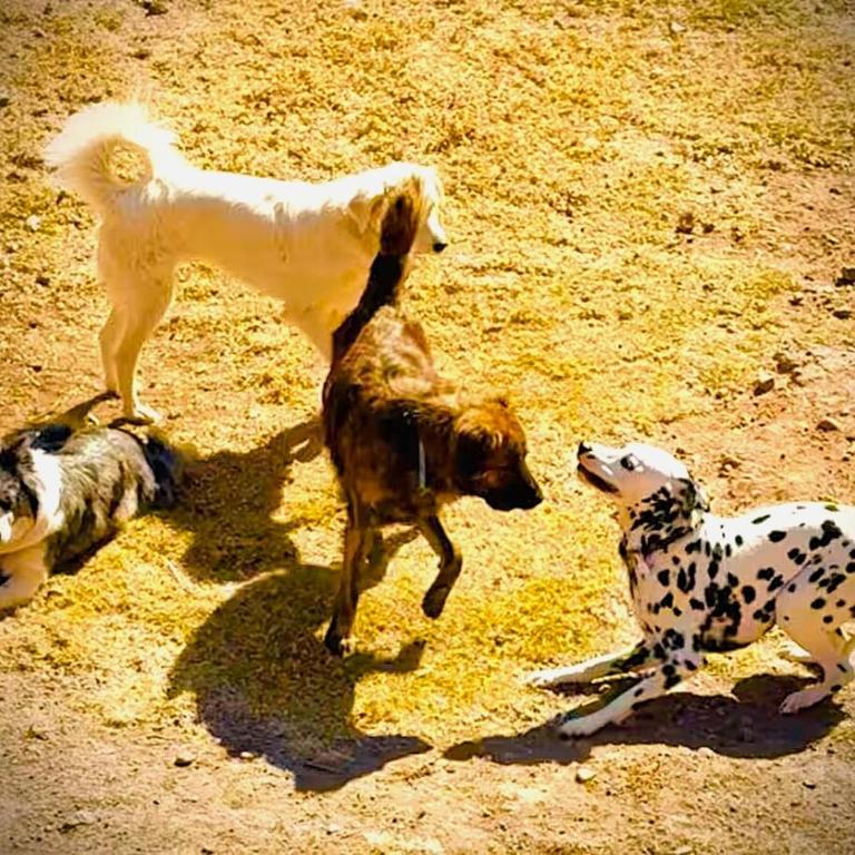 Adam Wasi - Casa con 1 dormitorio - 2