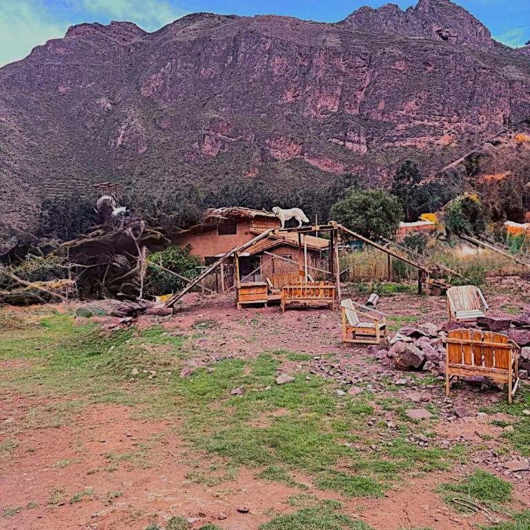 Adam Wasi - Casa con 1 dormitorio - 12