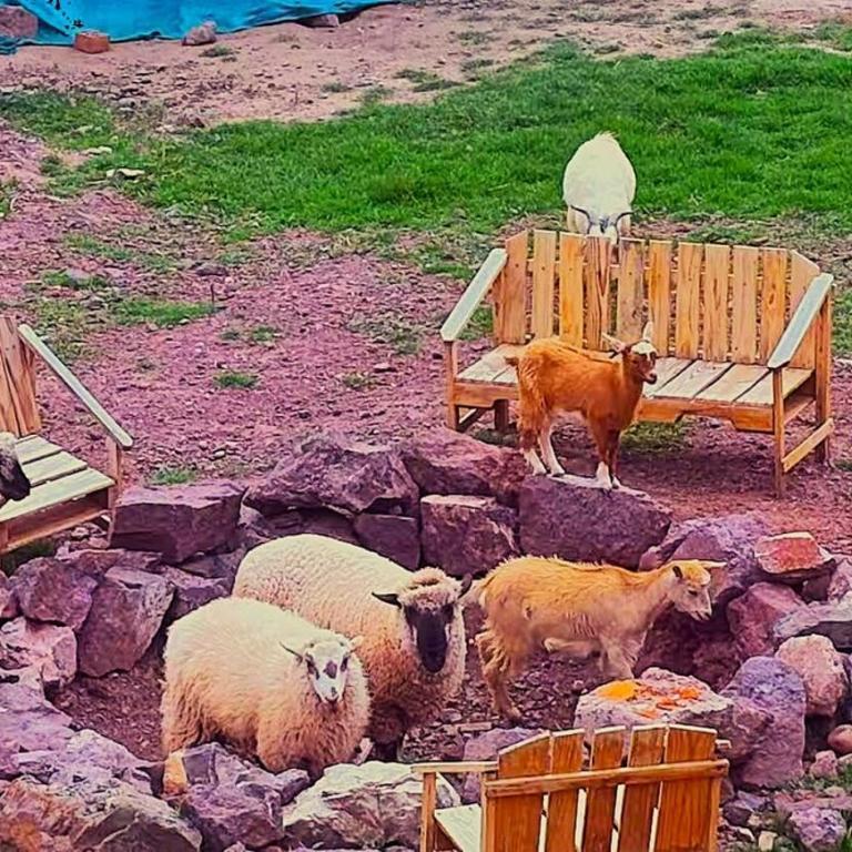 Adam Wasi - Casa con 1 dormitorio - 24