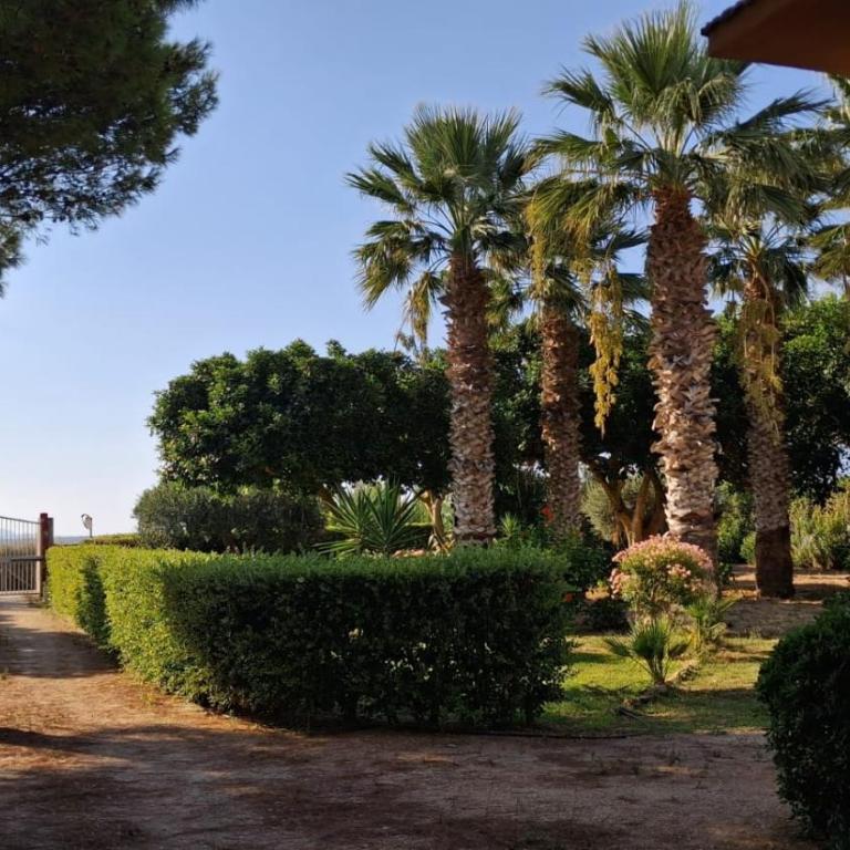 La Finestra su Mothia - Villa - 34