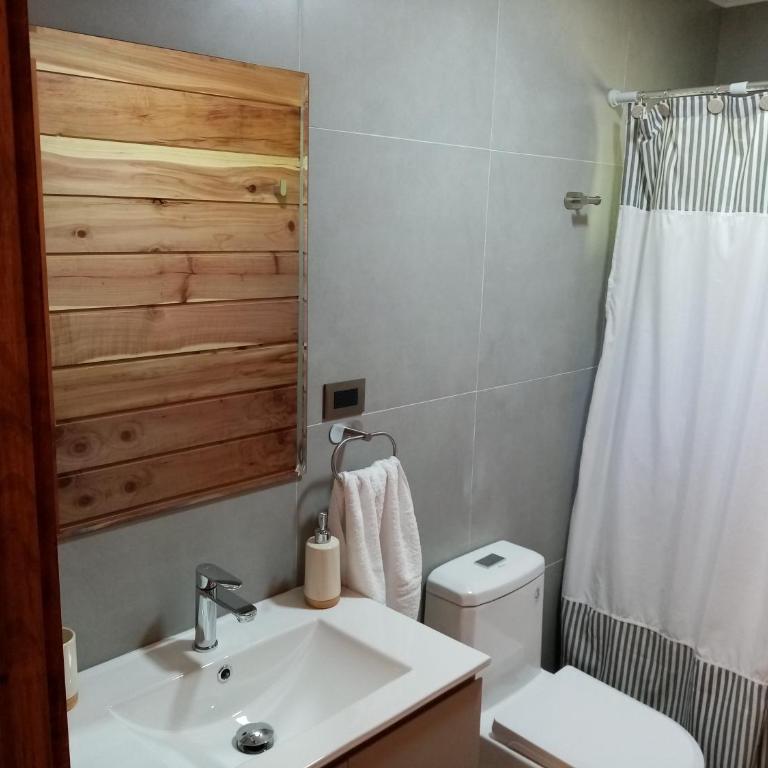 Cabañas y Hostal Casa de Campo Rukaleufu a orillas del Rio Huiscapi - Chalet de 2 dormitorios - 7