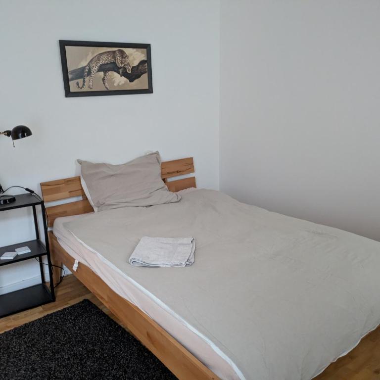 Ferienwohnung Kitzenmarkt - Appartamento con 2 Camere da Letto, Balcone e Terrazza - 14