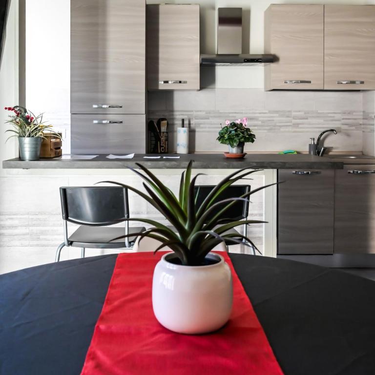 La casa del Koala - Appartement 1 Chambre - 1