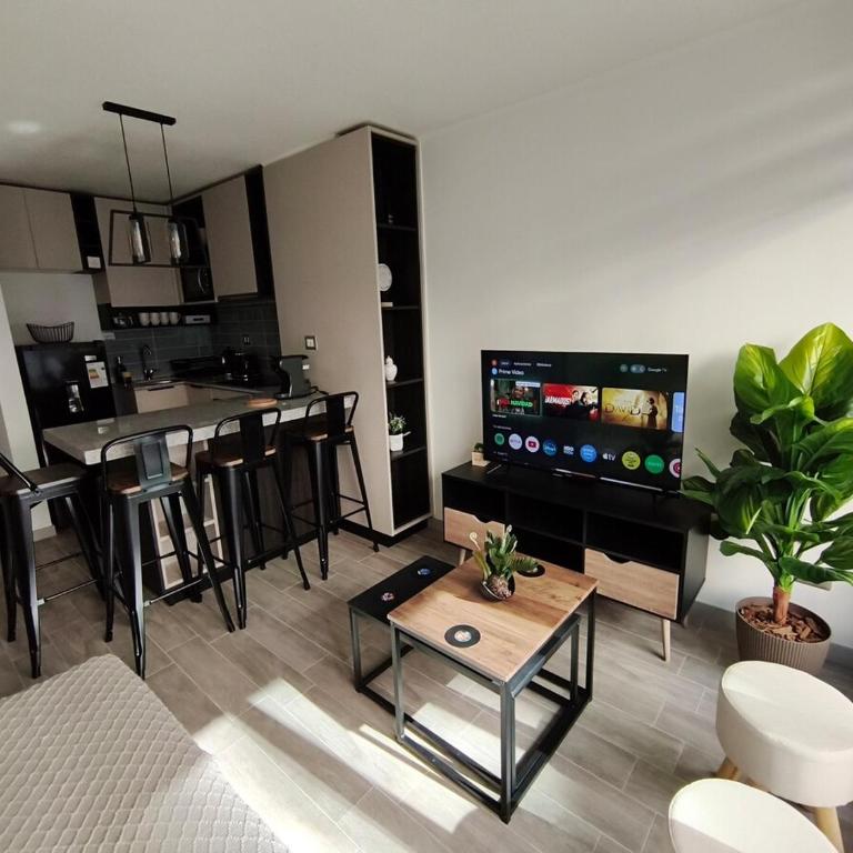 Refugio en Santiago, Cercano al Movistar Arenas - One-Bedroom Apartment - 1
