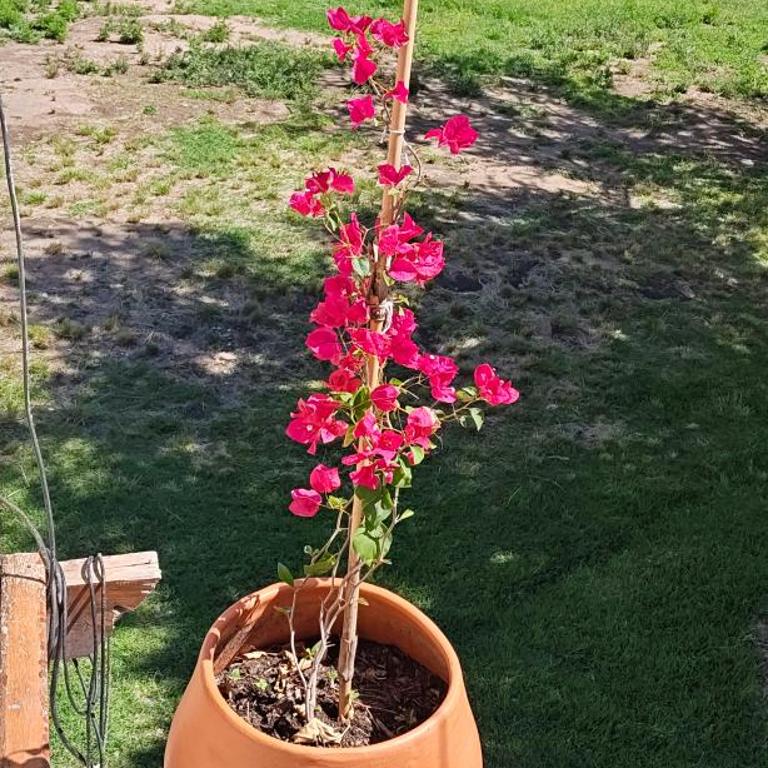 El mamboreta - Apartamento de 2 dormitorios - 19