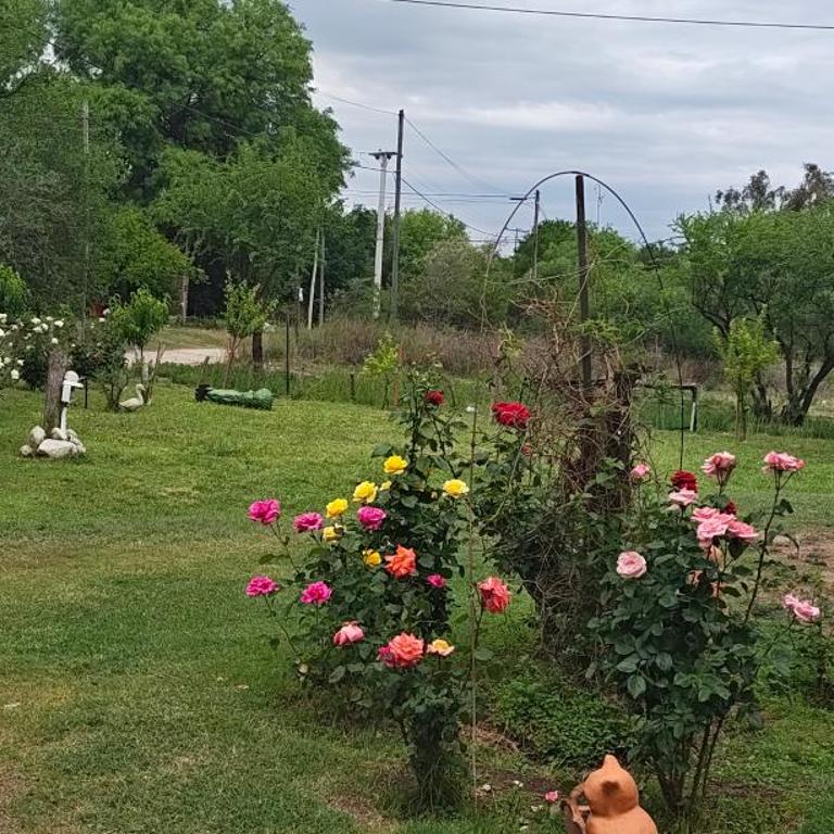 El mamboreta - Apartamento de 2 dormitorios - 22