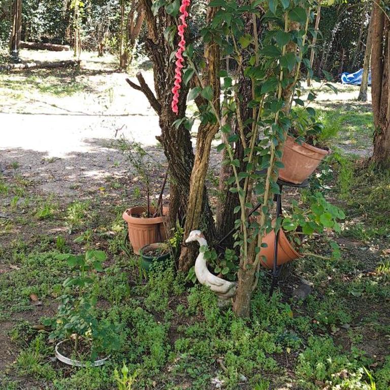 El mamboreta - Apartamento de 2 dormitorios - 24
