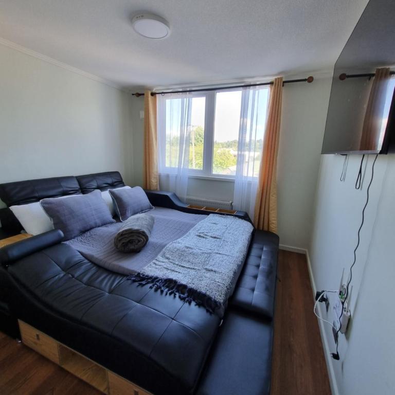 Departamento full equipado en villarrica - Apartamento de 2 dormitorios - 11