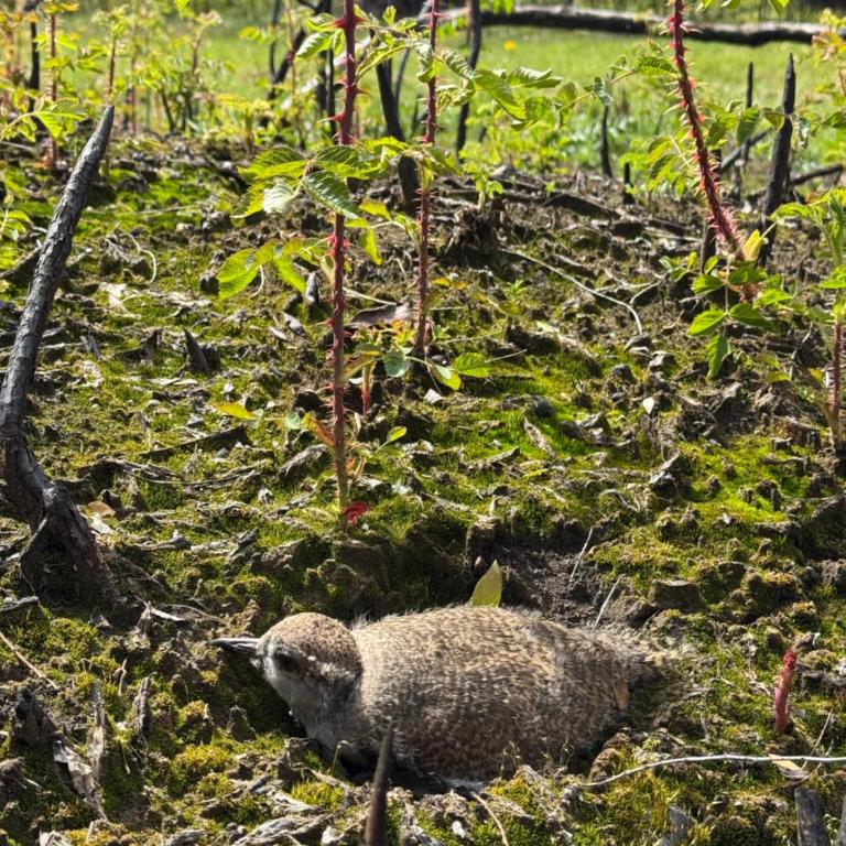Casa Mallin Azul - Chalet de 3 dormitorios - 34