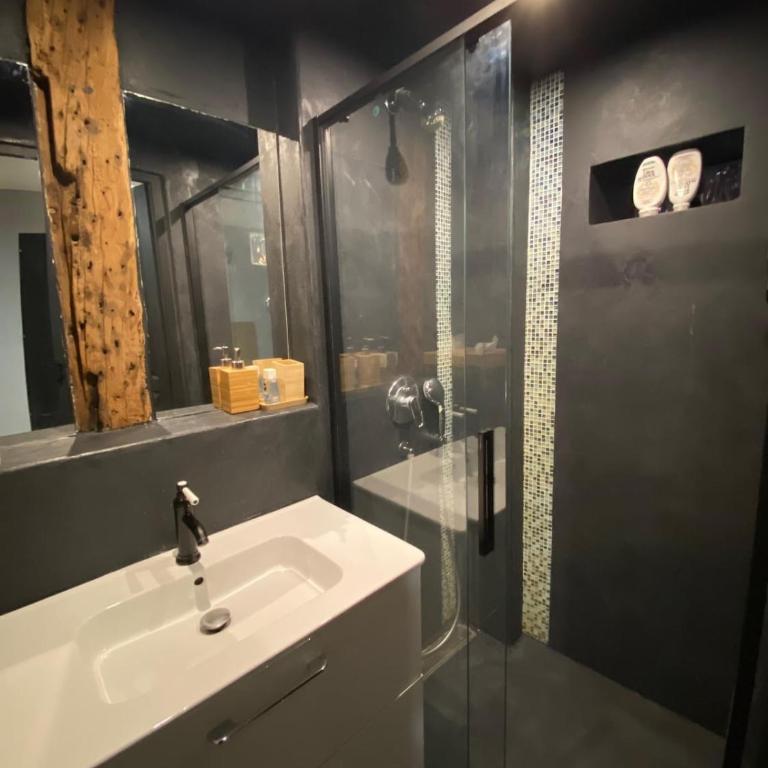 Exceptional Apartment Île Saint Louis - Jacuzzi - Appartement 3 Chambres - 19