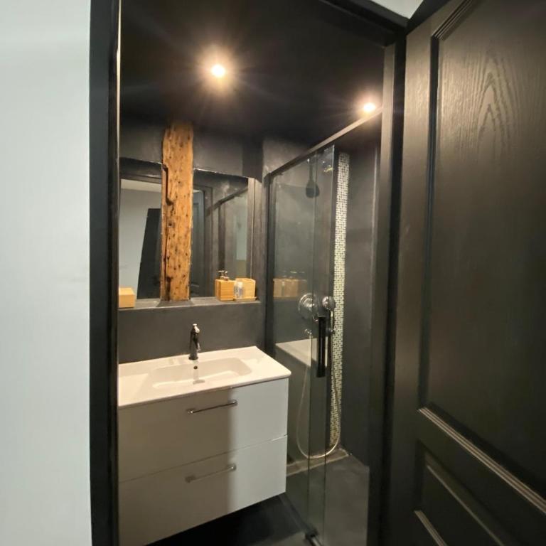 Exceptional Apartment Île Saint Louis - Jacuzzi - Appartement 3 Chambres - 51